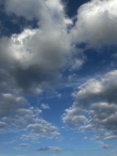 �q�����Ă���I�I